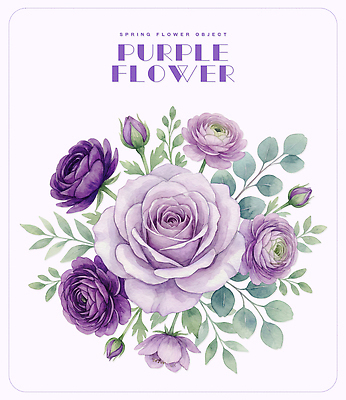 모양 PSD 식물 꽃 잎 일러스트 자연 수채화 장미 보라색 빈티지 오브젝트 라넌큘러스 국내일러스트 컬러 컨셉 생태계 파일형식