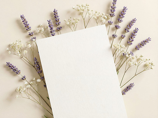JPG 식물 편집이미지 꽃 종이 백그라운드 봄꽃 봄 편지지 라벤더 편집실사 AI포토 AI콘텐츠 계절 편지 허브 CG 파일형식
