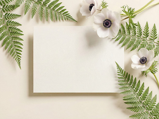 JPG 식물 편집이미지 꽃 백그라운드 봄꽃 봄 편지지 편집실사 AI포토 AI콘텐츠 계절 편지 CG 파일형식