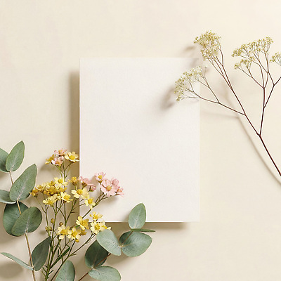 JPG 식물 편집이미지 꽃 봄꽃 나뭇잎 봄 편지지 편집실사 AI포토 AI콘텐츠 계절 잎 편지 CG 파일형식