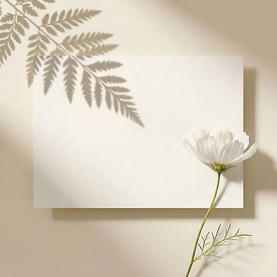 JPG 식물 편집이미지 꽃 백그라운드 봄꽃 봄 편지지 편집실사 AI포토 AI콘텐츠 계절 편지 CG 파일형식