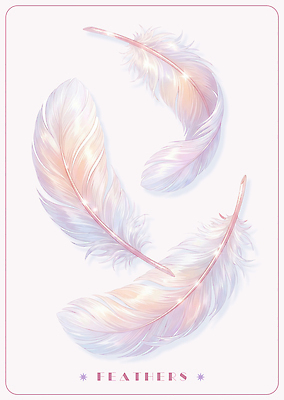 PSD 일러스트 깃털 오브젝트 부드러움 국내일러스트 감각 파일형식