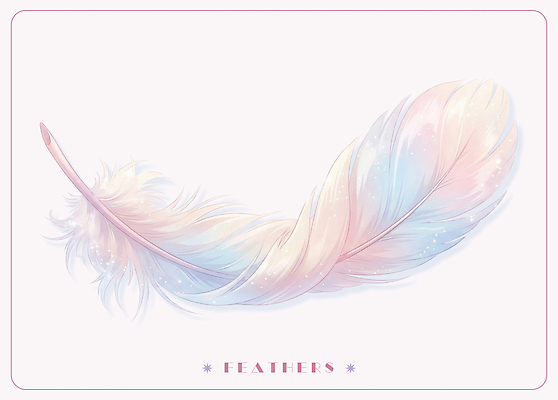 PSD 일러스트 깃털 오브젝트 부드러움 감성 국내일러스트 컨셉 감각 파일형식