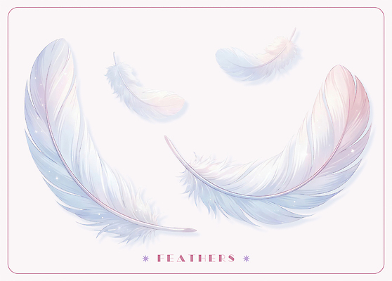 PSD 일러스트 깃털 오브젝트 부드러움 국내일러스트 감각 파일형식