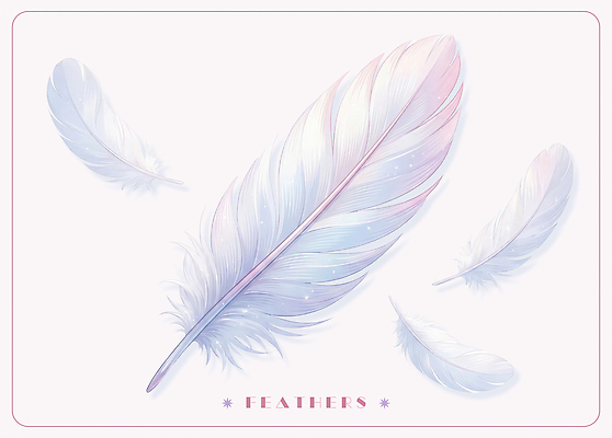 PSD 일러스트 깃털 오브젝트 부드러움 국내일러스트 감각 파일형식