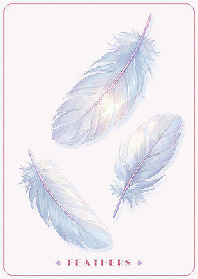 PSD 일러스트 깃털 오브젝트 부드러움 국내일러스트 감각 파일형식