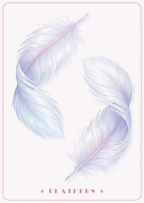 PSD 일러스트 깃털 오브젝트 부드러움 국내일러스트 감각 파일형식