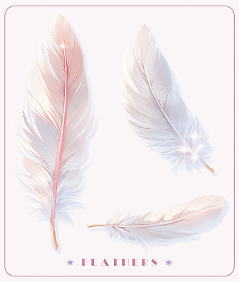 PSD 일러스트 세개 깃털 오브젝트 부드러움 국내일러스트 3 감각 파일형식