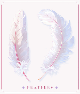 PSD 일러스트 두개 깃털 오브젝트 부드러움 국내일러스트 2 감각 파일형식