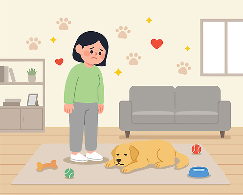 여자 감정 일러스트 관계 반려동물 소파 장난감 공간 방 슬픔 마음 마루 강아지 오브젝트 보호자 펫케어 국내일러스트 AI파일 동물 의자 바닥 관리 사람 개 파일형식 벡터