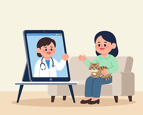 동물 여자 일러스트 의학 기술 건강 대화 일상 반려동물 컴퓨터 소파 고양이 서비스 수의사 영상통화 의사소통 펫케어 국내일러스트 AI파일 의자 포유류 관리 말하기 사람 라이프 전자제품 의사 통화 파일형식 벡터