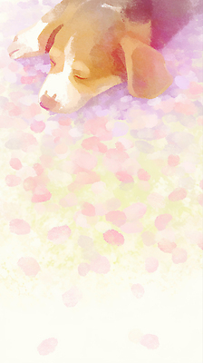 JPG 동물 꽃잎 여유 일러스트 생명 휴식 강아지 편안함 낮잠 국내일러스트 AI일러스트 AI콘텐츠 꽃 감정 컨셉 반려동물 잠 감각 개 파일형식