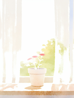 JPG 식물 꽃 화분 일러스트 창문 실내 밝음 햇빛 봄 창가 국내일러스트 AI일러스트 AI콘텐츠 계절 내부 태양 파일형식