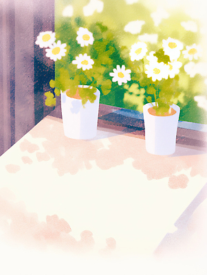 JPG 식물 화분 화초 일러스트 창문 자연 탁자 실내 장식 초록색 햇빛 정원 봄 창가 국내일러스트 AI일러스트 AI콘텐츠 계절 컬러 가구 내부 태양 생태계 파일형식