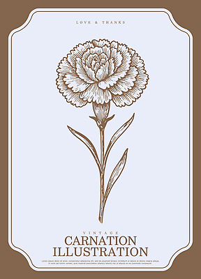 식물 디자인 꽃 선 컬러 꽃다발 일러스트 선물 빈티지 카네이션 그림 원예 가정의달 조화 국내일러스트 AI파일 컨셉 취미 5월 파일형식 벡터