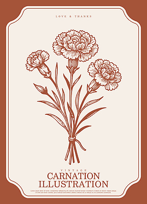 식물 디자인 꽃 예술 컬러 일러스트 선물 장식 빈티지 꽃꽂이 카네이션 그림 감사 가정의달 조화 국내일러스트 AI파일 감정 컨셉 5월 원예 파일형식 벡터