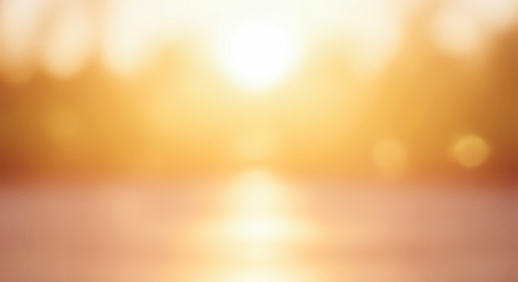 JPG 나무 편집이미지 백그라운드 풍경 빛 햇빛 노란색 일몰 흐름 금색 저녁 보케 뷰티풀 이미지편집 AI컴퓨터그래픽 AI콘텐츠 식물 컬러 컨셉 태양 노을 밤 야간 파일형식