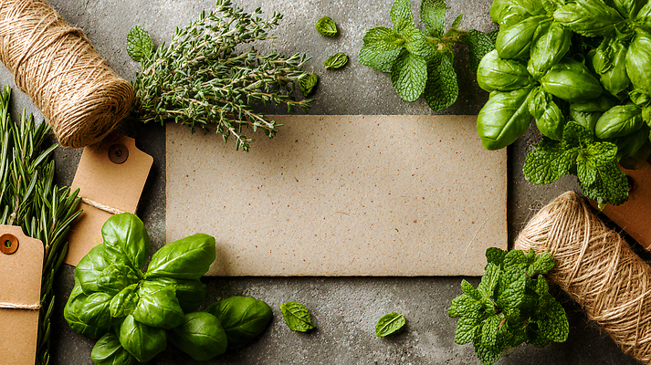 JPG 식물 편집이미지 종이 재료 자연 프레임 꼬리표 주방 정원 민트 허브 바질 로즈메리 홈가드닝 편집실사 AI포토 AI콘텐츠 라벨 CG 생태계 원예 파일형식