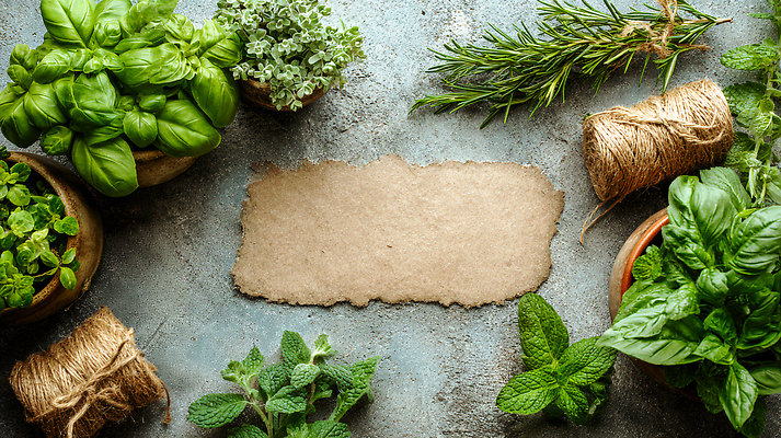 JPG 식물 편집이미지 화분 종이 재료 바닥 프레임 신선 허브 홈가드닝 편집실사 AI포토 AI콘텐츠 CG 원예 파일형식