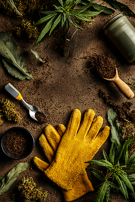 JPG 식물 편집이미지 장갑 자연 프레임 정원 농사 흙 도구 삽 원예 흙더미 홈가드닝 편집실사 AI포토 AI콘텐츠 잡화 농업 취미 CG 생태계 파일형식 더미