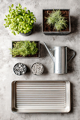 JPG 식물 편집이미지 화분 프레임 정원 흙 물뿌리개 돌 물주기 원예 심기 홈가드닝 편집실사 AI포토 AI콘텐츠 모션 취미 CG 파일형식