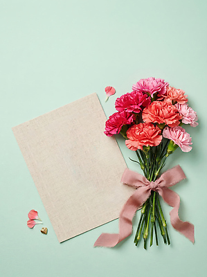 JPG 편집이미지 꽃잎 꽃 리본 분홍색 꽃다발 장식 떨어짐 편지 카네이션 감사 가정의달 편집실사 AI포토 AI콘텐츠 식물 감정 컬러 컨셉 5월 CG 파일형식