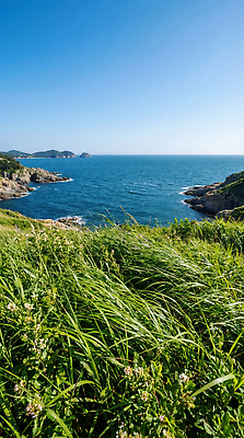 JPG 편집이미지 물결 바다 자연 하늘 바람 산 풍경 초원 해변 여름 태양 지평선 편집실사 AI포토 AI콘텐츠 자연요소 계절 날씨 CG 생태계 파일형식