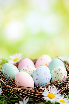 JPG 편집이미지 꽃 무늬 부활절 잔디 계란 둥지 부활절계란 편집실사 AI포토 AI콘텐츠 식물 기념일 알 CG 파일형식