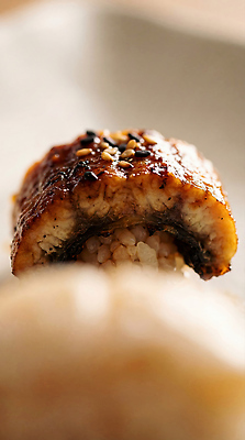 JPG 편집이미지 접시 음식 어류 식사 초밥 맛 장어 해산물 장어초밥 일본음식 편집실사 AI포토 AI콘텐츠 식기 컨셉 수중동물 CG 파일형식