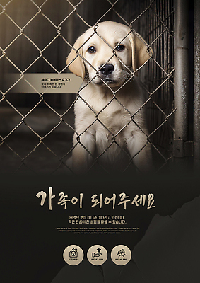 PSD 템플릿 가족 사랑 반려동물 강아지 보호 동물보호 철망 유기견 입양 이미지템플릿 동물 감정 컨셉 관계 개 사회이슈 파일형식 유기동물