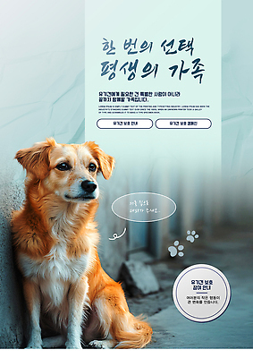 PSD 동물 템플릿 가족 사랑 반려동물 기다림 선택 개 보호 주인 길가 유기견 이미지템플릿 감정 컨셉 포유류 관계 모션 파일형식 유기동물