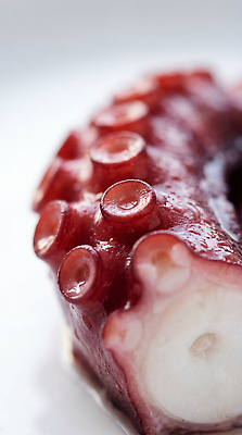 JPG 편집이미지 해물요리 해산물 문어 문어다리 문어숙회 편집실사 AI포토 AI콘텐츠 음식 연체동물 수중동물 CG 숙회 파일형식