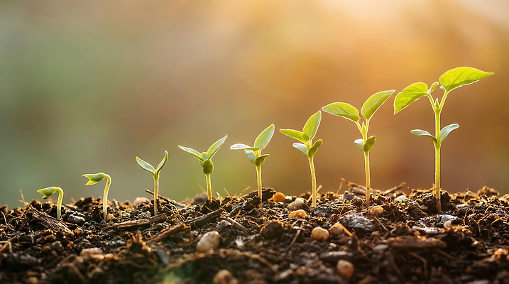 JPG 식물 편집이미지 농업 자연 생명 새싹 흙 성장 생태계 원예 단계 거름 편집실사 AI포토 AI콘텐츠 산업 취미 CG 파일형식