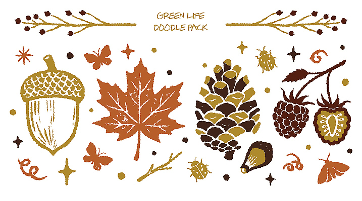 식물 열매 곤충 단풍 일러스트 자연 나뭇잎 낙서 도토리 국내일러스트 AI파일 동물 잎 견과류 생태계 파일형식 벡터