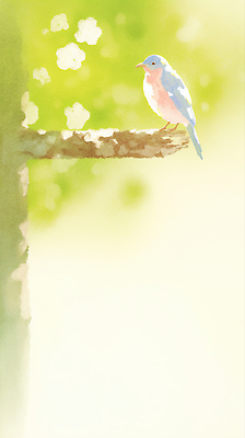 JPG 일러스트 자연 조류 풍경 햇빛 평화 봄 나뭇가지 숲속 파랑새 국내일러스트 AI일러스트 AI콘텐츠 나무 동물 계절 컨셉 태양 숲 생태계 파일형식