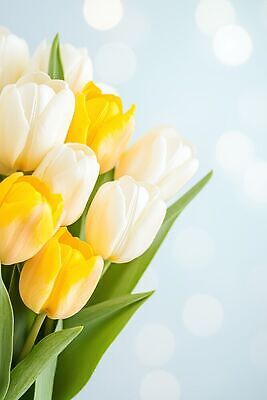 JPG 편집이미지 꽃 꽃다발 백그라운드 봄 튤립 보케 이미지편집 AI컴퓨터그래픽 AI콘텐츠 식물 계절 파일형식