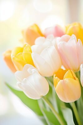 JPG 편집이미지 꽃 꽃다발 백그라운드 선물 봄 튤립 보케 이미지편집 AI컴퓨터그래픽 AI콘텐츠 식물 계절 파일형식