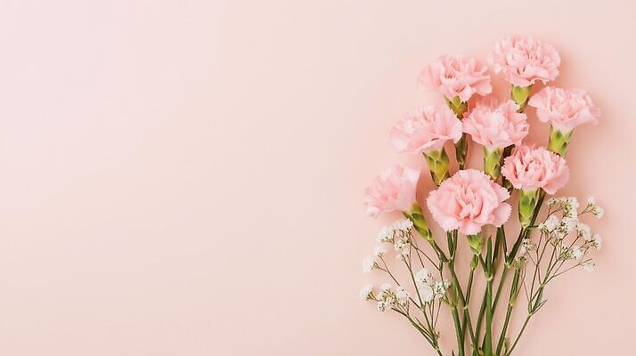 JPG 편집이미지 꽃 분홍색 꽃다발 백그라운드 선물 봄 어버이날 스승의날 카네이션 감사 가정의달 편집실사 AI포토 AI콘텐츠 식물 계절 기념일 감정 컬러 5월 CG 파일형식