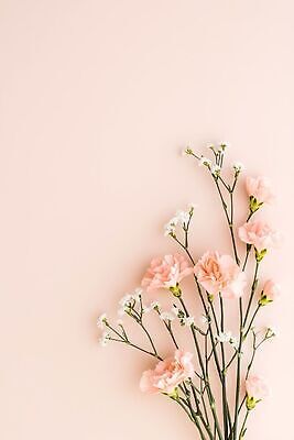 JPG 편집이미지 꽃 분홍색 꽃다발 백그라운드 어버이날 스승의날 카네이션 감사 가정의달 편집실사 AI포토 AI콘텐츠 식물 기념일 감정 컬러 5월 CG 파일형식