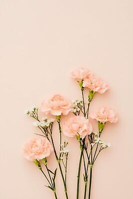 JPG 편집이미지 꽃 분홍색 꽃다발 백그라운드 어버이날 스승의날 카네이션 감사 가정의달 편집실사 AI포토 AI콘텐츠 식물 기념일 감정 컬러 5월 CG 파일형식