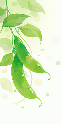 JPG 백그라운드 잎 채소 일러스트 수채화 콩 초록색 신선 완두콩 콩깍지 국내일러스트 AI일러스트 AI콘텐츠 식물 컬러 곡류 파일형식