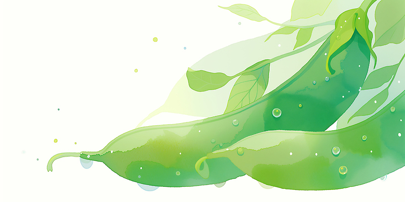 JPG 백그라운드 잎 채소 일러스트 나뭇잎 수채화 건강 초록색 신선 완두콩 국내일러스트 AI일러스트 AI콘텐츠 식물 컬러 콩 파일형식