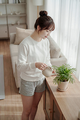 JPG 식물 편집이미지 여자 화분 가구 거실 모션 실내 일상 장식 소파 햇빛 물주기 의료성형뷰티 편집실사 AI인물포토 AI콘텐츠 생활용품 의자 사람 내부 라이프 빛 CG 파일형식 AI포토