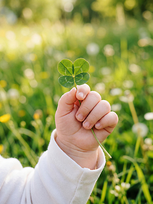 JPG 식물 편집이미지 손 어린이 자연 잔디 초원 야외 여름 햇빛 아기 네잎클로버 의료성형뷰티 편집실사 AI인물포토 AI콘텐츠 계절 사람 신체부위 빛 클로버 CG 생태계 파일형식 AI포토