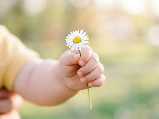 JPG 편집이미지 손 꽃 어린이 자연 햇빛 순수 의료성형뷰티 편집실사 AI인물포토 AI콘텐츠 식물 컨셉 사람 신체부위 빛 CG 생태계 파일형식 AI포토