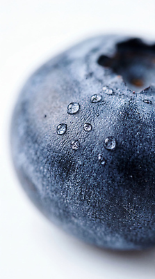 JPG 편집이미지 음식 과일 건강 근접촬영 농작물 물방울 신선 질감 블루베리 비타민 편집실사 AI포토 AI콘텐츠 뷰포인트 농업 CG 영양소 파일형식