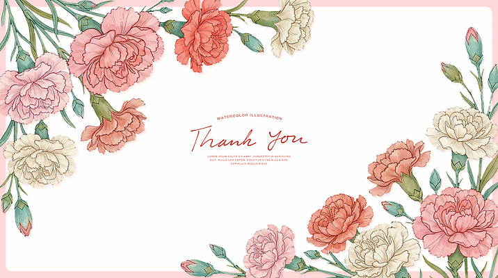 PSD 꽃 백그라운드 일러스트 자연 사랑 카네이션 감사 국내일러스트 식물 감정 생태계 파일형식