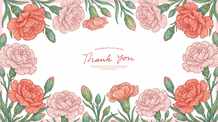 PSD 꽃 백그라운드 일러스트 편지 카네이션 감사 국내일러스트 식물 감정 파일형식