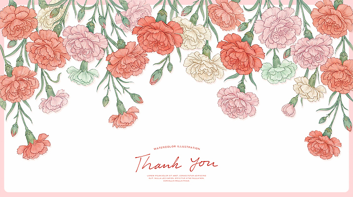 PSD 꽃 백그라운드 일러스트 봄 축하 카네이션 감사 국내일러스트 식물 계절 감정 컨셉 파일형식
