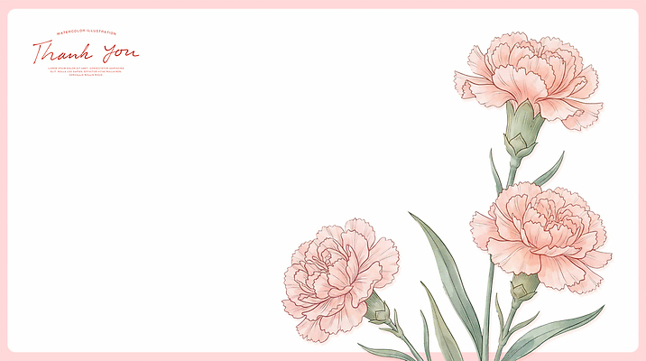 PSD 식물 꽃 분홍색 백그라운드 일러스트 자연 축하 카네이션 감사 국내일러스트 감정 컬러 컨셉 생태계 파일형식
